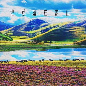 把爱留在凉山 （Gr33nart Beats）