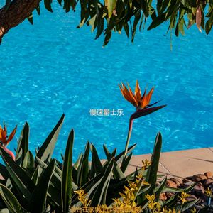 适合在家里工作朦胧的音乐