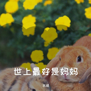 是是非非有人说