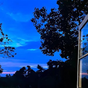 要么出众，要么出局