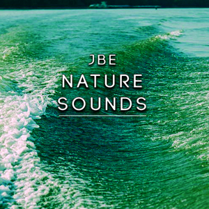 Forest Recorded With Two Mics