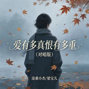 爱有多真恨有多重(对唱版)