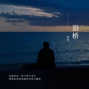 泪桥（新编）.wav