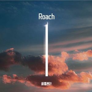 Roach
