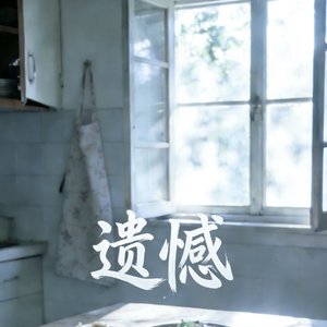 遗憾