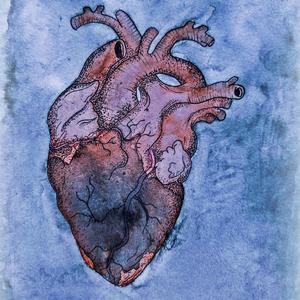 Heart to the Streets