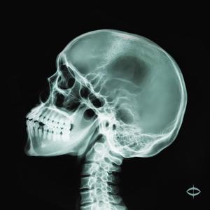 Big Talk (feat. Jazz Junkie Joy)