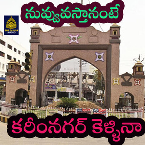 Karimnagar Kellina (Nuvvostanante)