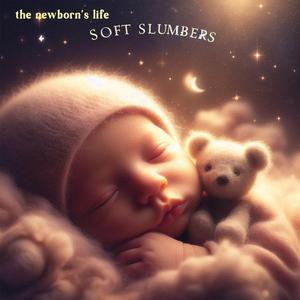 Soft Slumbers