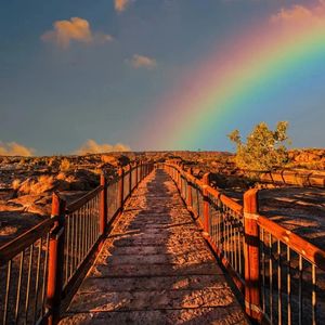 我怀念的是一起做梦