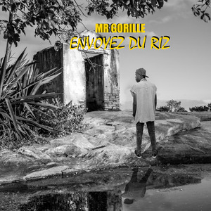 Envoyez du riz