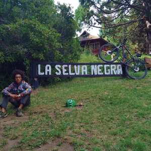 Robado 29"