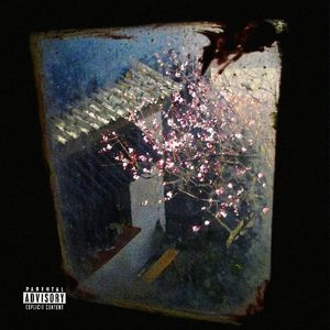 采花大盗（prod.R1singRex）