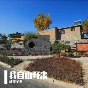 我自山野来