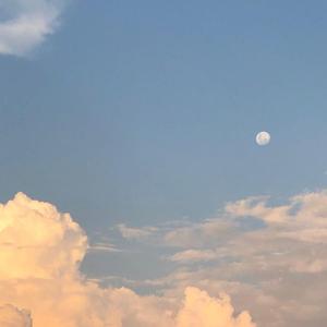 阳光普照的日子