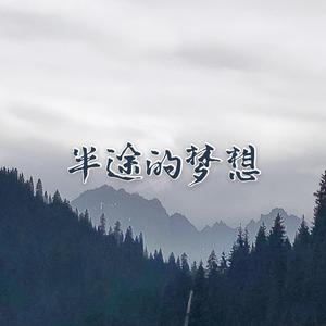 半途的梦想