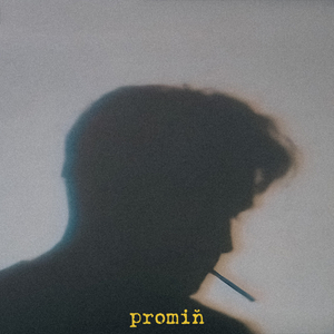 Promiň