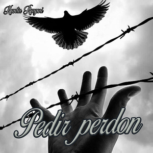 Pedir Perdon