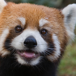 原来浪漫是和你浪费每个朝夕