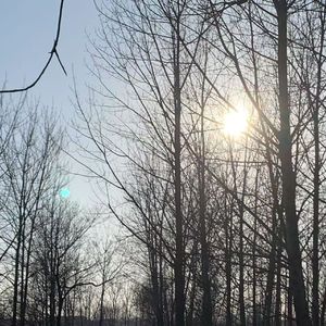 梅花落满南山（demo）