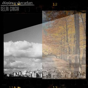 Düşünce Duvarları