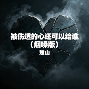 被伤透的心还可以给谁(烟嗓版)