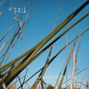 我错过缘分错过你