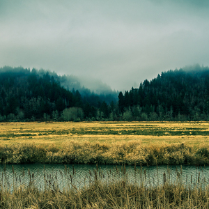零几年听的情歌