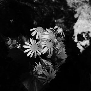 no money & time讲不了爱（prod.Lakewavebeatz）