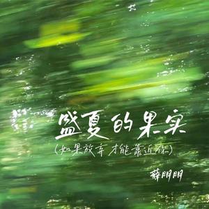 盛夏的果实 (也许放弃才能靠近你)