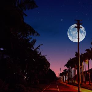 舞台之上你就是王