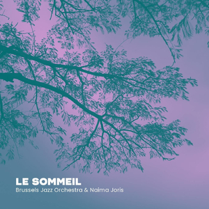 Le sommeil (feat. Naima Joris)