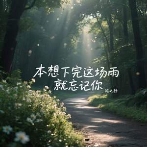 本想下完这场雨就忘记你