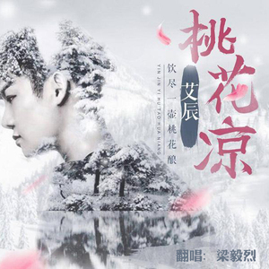 桃花凉（Cover 艾辰）