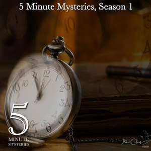 Episode VII - The Xmas Dress That Made Time Stand Still, Part 1