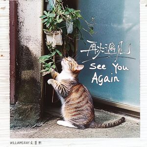 国境之南（电影《海角七号》主题曲）