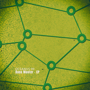 Bass Master (The Slappers Society Remix)