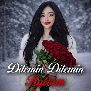 Dilê Min Kalbim DİLE MİN Dilê min, dilê min Tu bûyî jiyana min Kalbim yanar her gece Adını söyler gizlice (TÜRKÇE KÜRTÇE ELEKTRO SAZ )