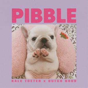 PIBBLE (Hard Techno Edit)