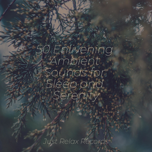 Ink and Ivory Ballad