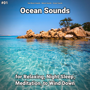Ocean Sounds Pt. 9