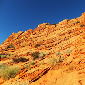 今日もひとりでワルツ