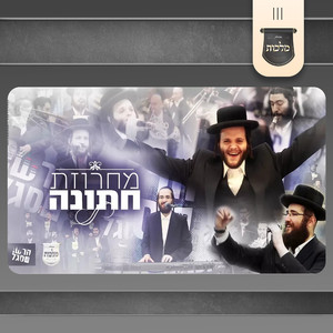 חתונה מיט זאנוויל 2