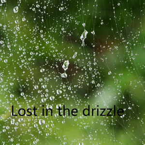 Lost in the drizzle