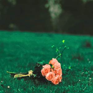 Elizabeth Taylor (Piano Version)