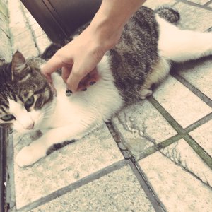 【武士桑】『打上花火』【Short】（Cover DAOKO × 米津玄師）