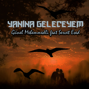 Yanına Geleceyem