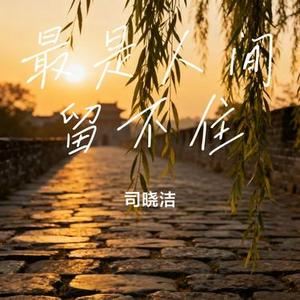 最是人间留不住 (Cover 虞书欣)