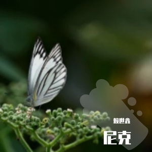 科二