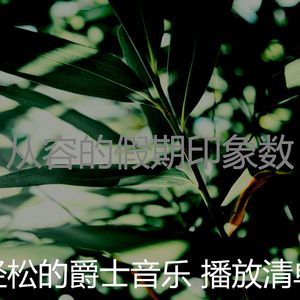 柔和的养生时刻